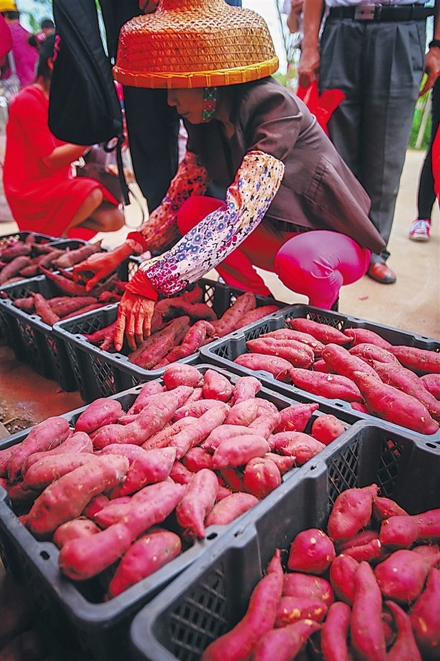 平安市富硒农产品(平安富硒产业园)-硒宝网