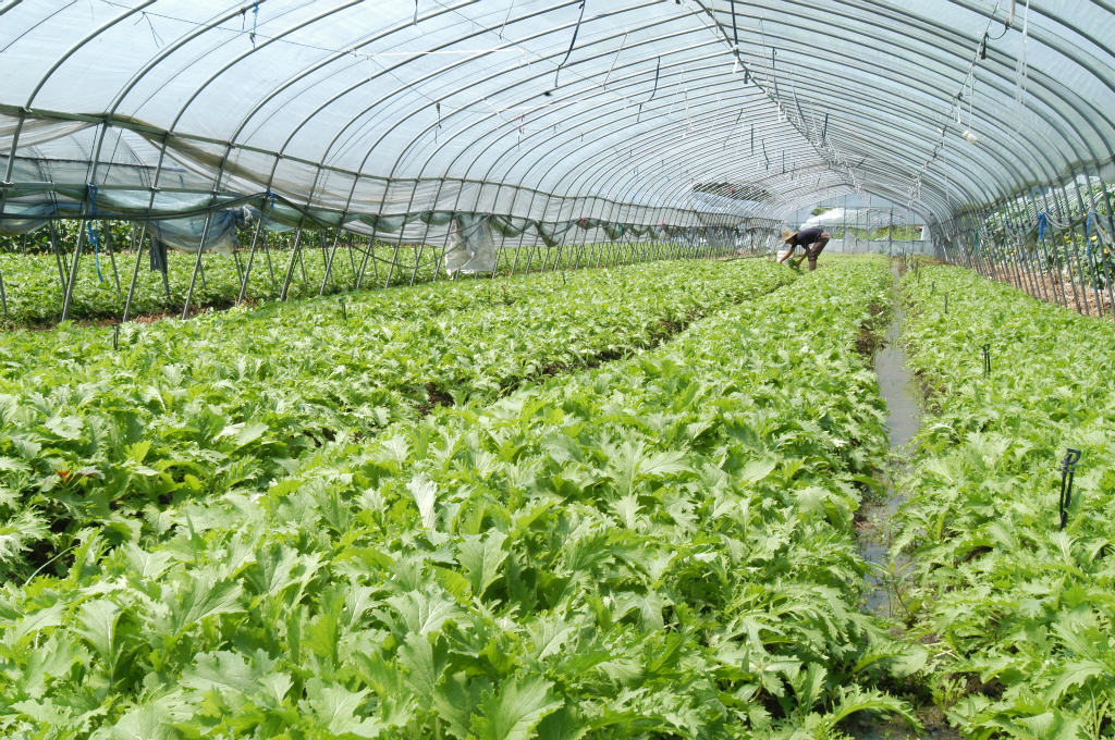 富硒农产品云平台（富硒农业app）-硒宝网