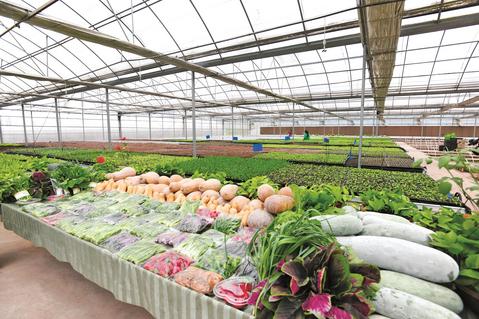 江津十大富硒产品（江津富硒产品介绍）-硒宝网