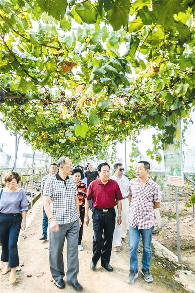 富硒元素的农产品（富含元素硒的农产品）-硒宝网