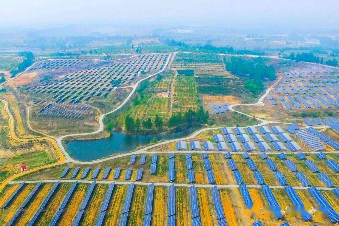 富硒农产品的种植（富硒农作物）-硒宝网