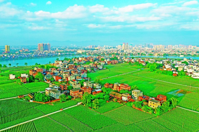 富硒农产品的种植（富硒农作物）-硒宝网