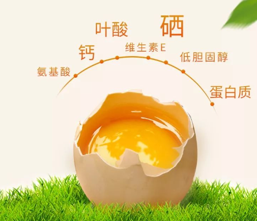 富硒农产品的特点（富硒农业种植的三大特点）-硒宝网