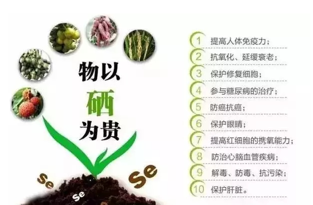 富硒农产品的特点（富硒农业种植的三大特点）-硒宝网