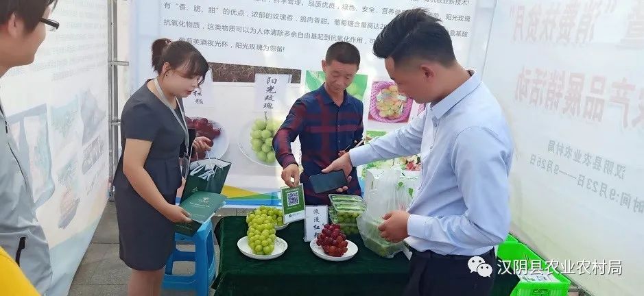 富硒农产品的意义(富硒功能农业)-硒宝网