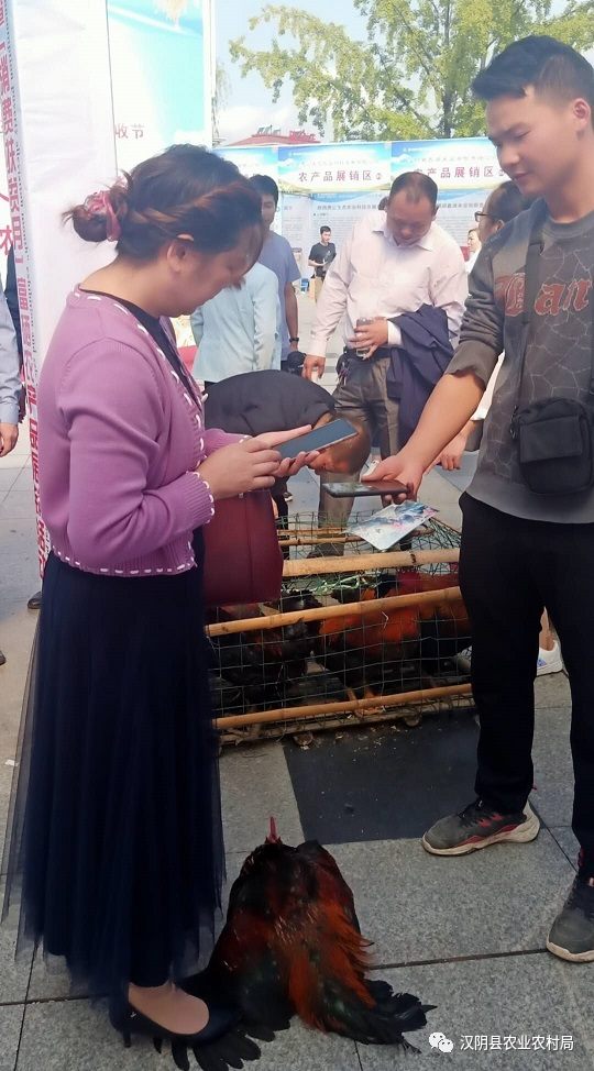 富硒农产品的意义(富硒功能农业)-硒宝网