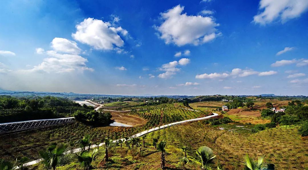 长寿乡富硒农产品（长寿农乡富硒产品介绍）-硒宝网