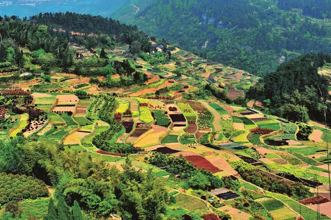 长寿乡富硒农产品（长寿农乡富硒产品介绍）-硒宝网