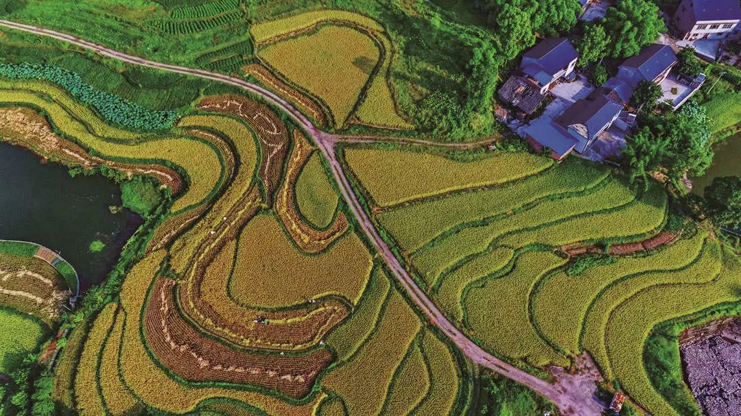 长寿乡富硒农产品（长寿农乡富硒产品介绍）-硒宝网