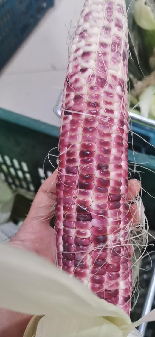 富硒产品的深加工（加工富硒产品厂家）-硒宝网