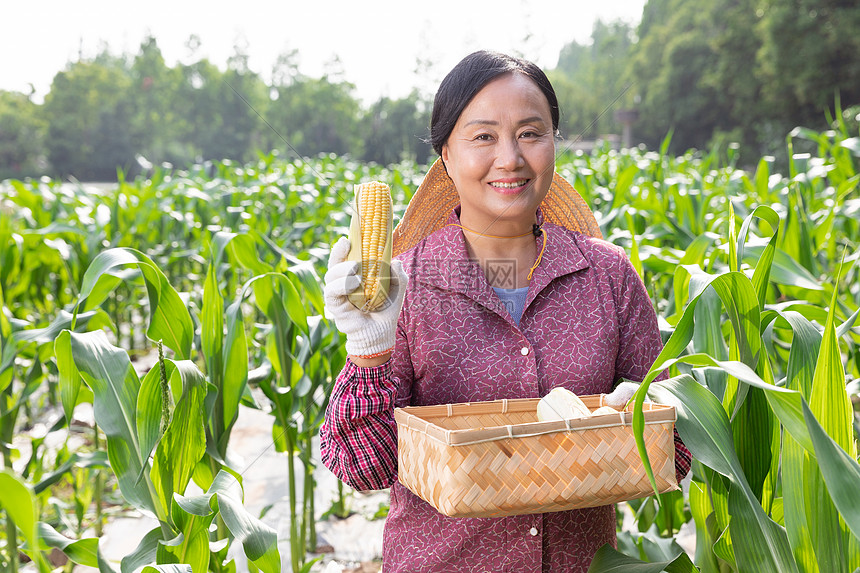 富硒产品的深加工（加工富硒产品厂家）-硒宝网