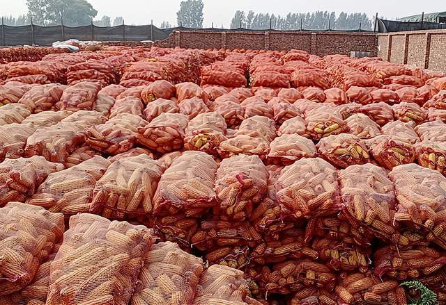 富硒产品的深加工（加工富硒产品厂家）-硒宝网