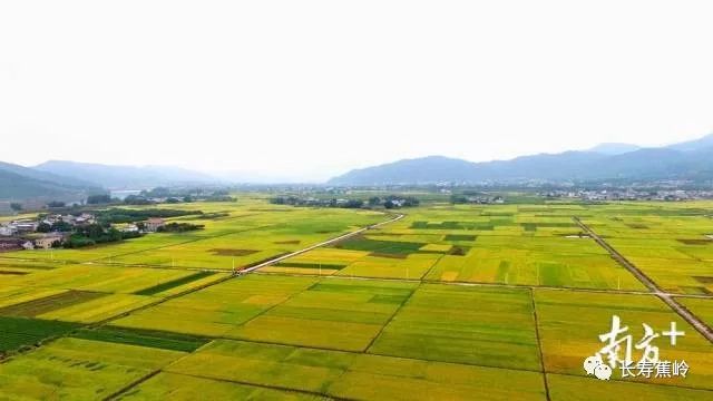 源素优农富硒产品（农科院富硒源粉）-硒宝网