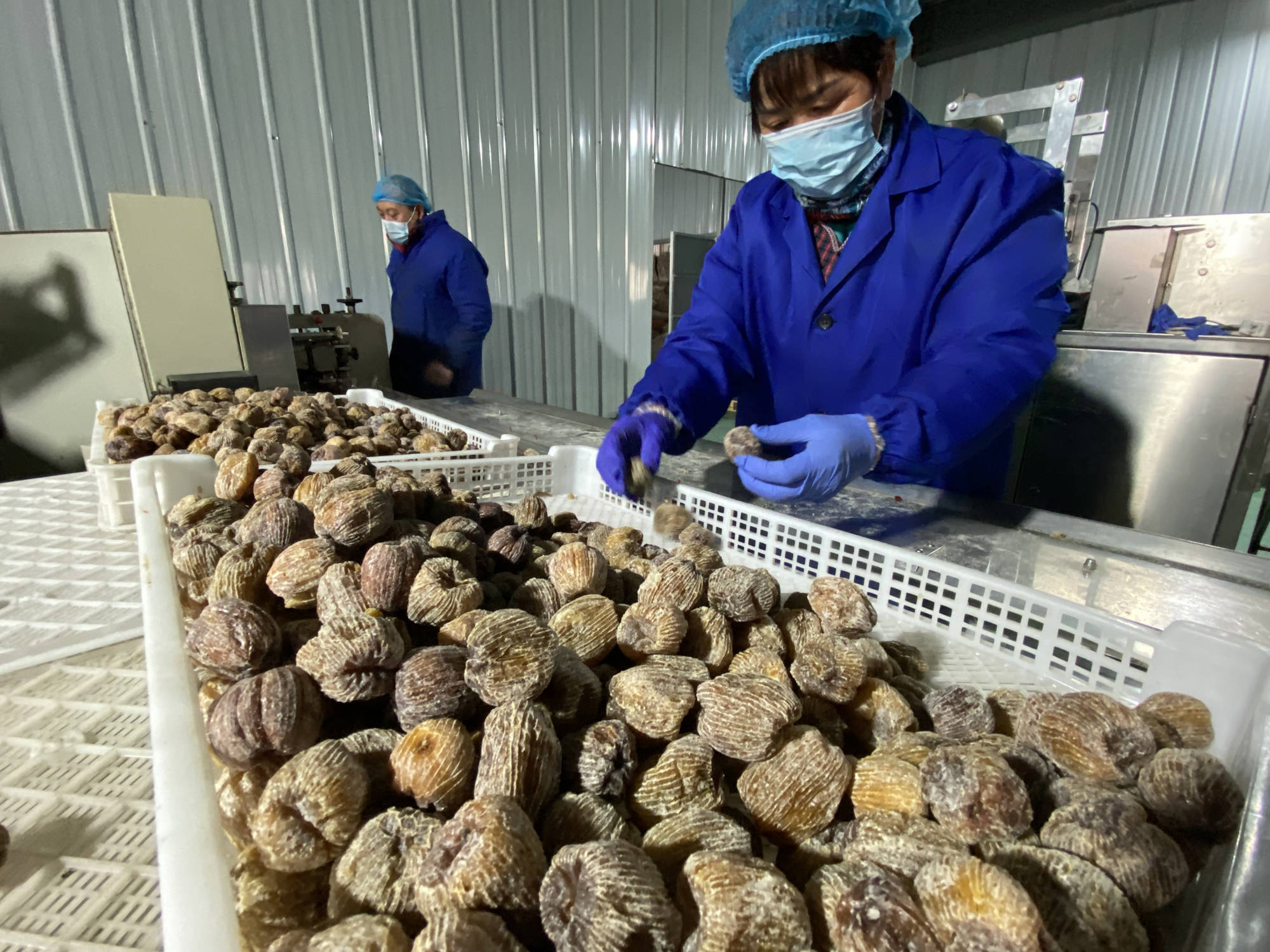 江永富硒钙农产品（富硒钙的作用是什么）-硒宝网