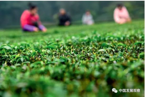 哪些农产品含富硒(富硒产品含量)-硒宝网