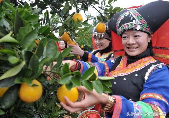 富硒农产品好吃吗(富硒农产品品牌)-硒宝网