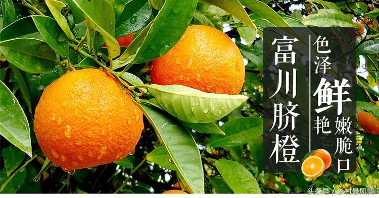 富硒农产品好吃吗(富硒农产品品牌)-硒宝网