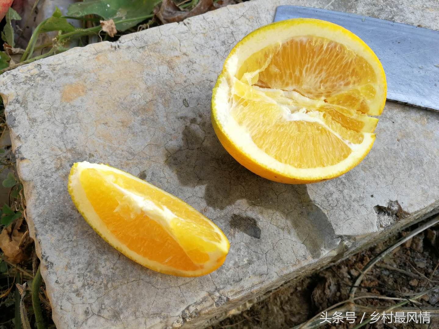 富硒农产品好吃吗(富硒农产品品牌)-硒宝网