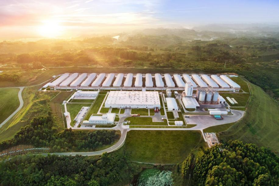 富硒农产品的认证（富硒农产品认证过程）-硒宝网