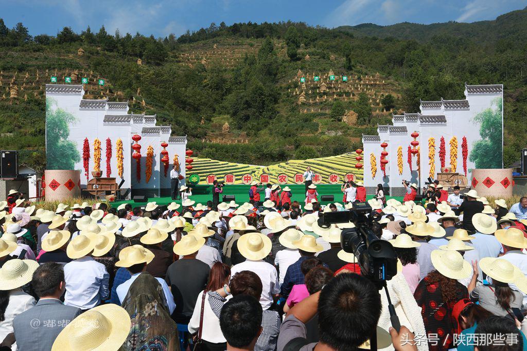 安康富硒农产品节（安康富硒食品有限公司）-硒宝网