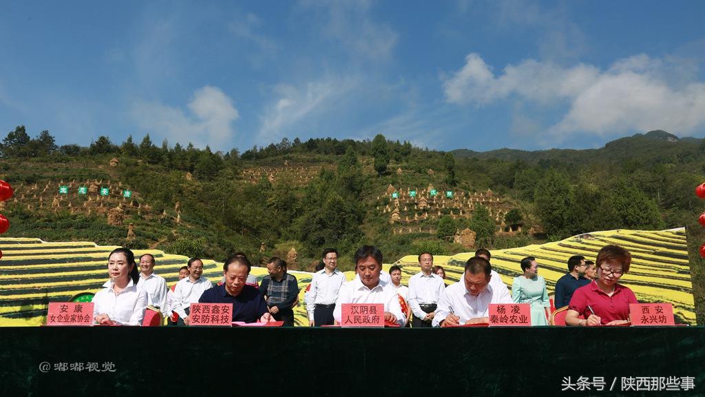 安康富硒农产品节（安康富硒食品有限公司）-硒宝网