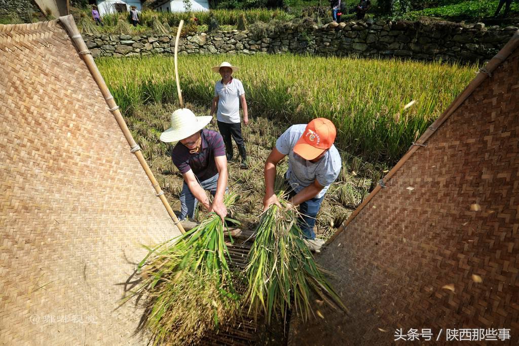 安康富硒农产品节（安康富硒食品有限公司）-硒宝网