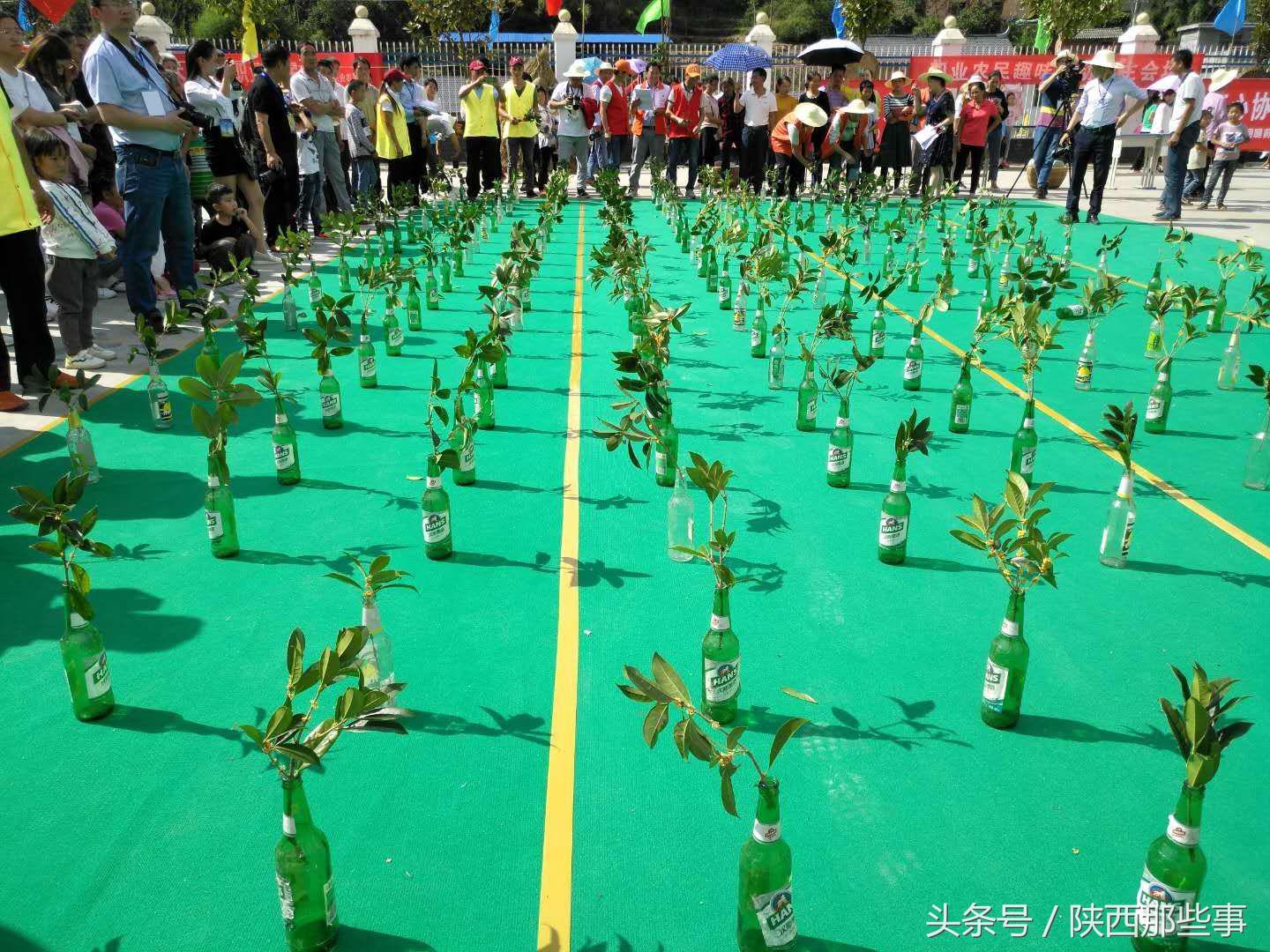 安康富硒农产品节（安康富硒食品有限公司）-硒宝网