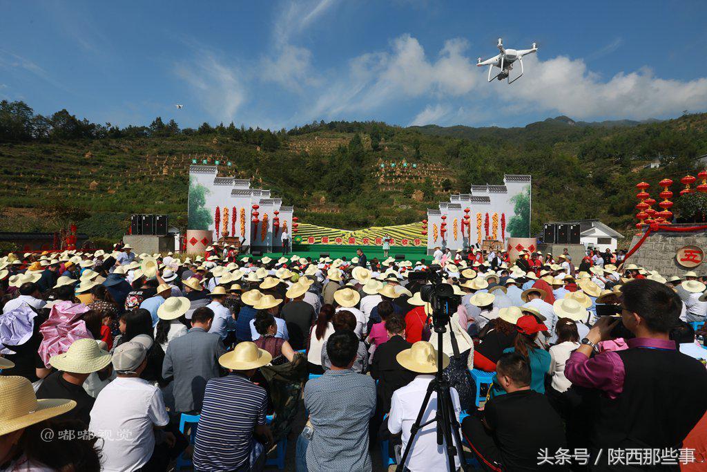 安康富硒农产品节（安康富硒食品有限公司）-硒宝网