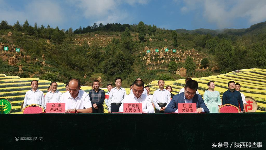 安康富硒农产品节（安康富硒食品有限公司）-硒宝网