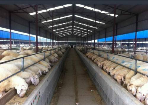 富硒农产品的总结(富硒农产品介绍)-硒宝网