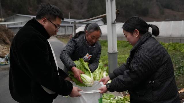 富硒农产品的核心（富硒农业）-硒宝网