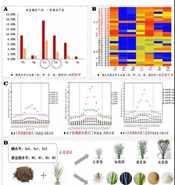 富硒农产品安全吗(农用富硒)-硒宝网