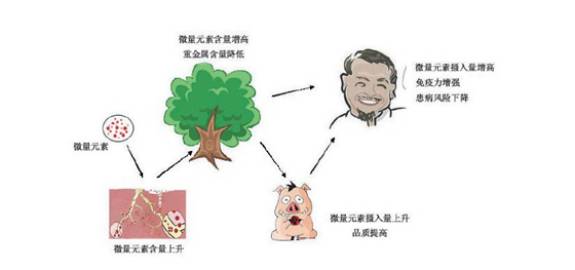 富硒农产品好吃么(富硒农副产品补硒效果很好)-硒宝网