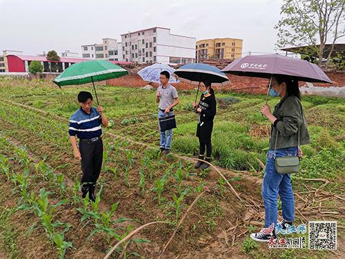 富硒产品认证工作(富硒产品认证程序)-硒宝网