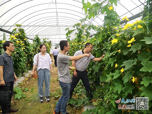 富硒产品认证工作(富硒产品认证程序)-硒宝网