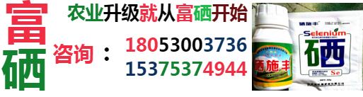 富硒农产品的价值(富硒农作物)-硒宝网