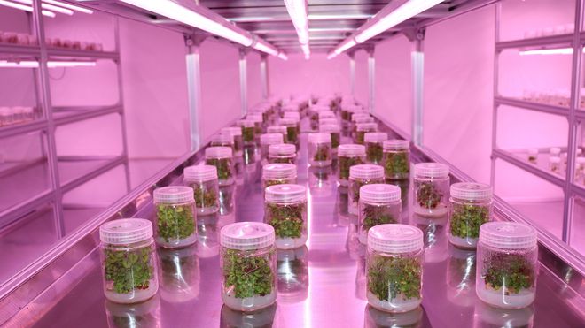 农产品为啥要富硒（富硒农产品需要认证吗）-硒宝网