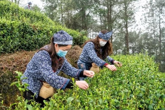 巴南区富硒农产品（重庆富硒农产品）-硒宝网