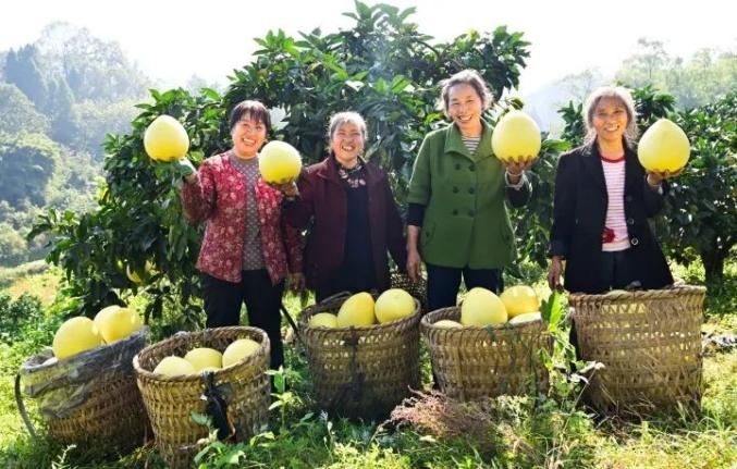 巴南区富硒农产品（重庆富硒农产品）-硒宝网