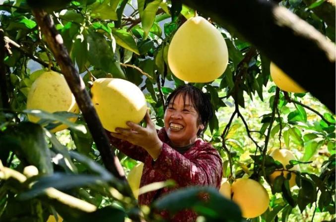 巴南区富硒农产品（重庆富硒农产品）-硒宝网