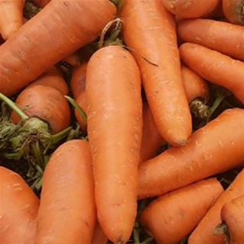 怎么让农产品富硒（富硒农场产品）-硒宝网