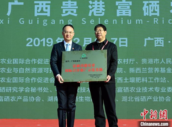 广西富硒产品出口（广西出口富硒产品排名）-硒宝网