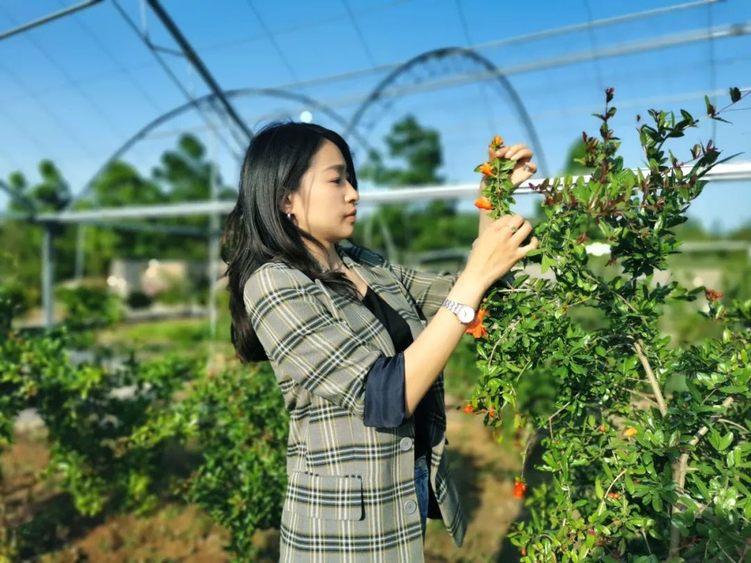 水杉乡富硒农产品（大山村富硒水）-硒宝网