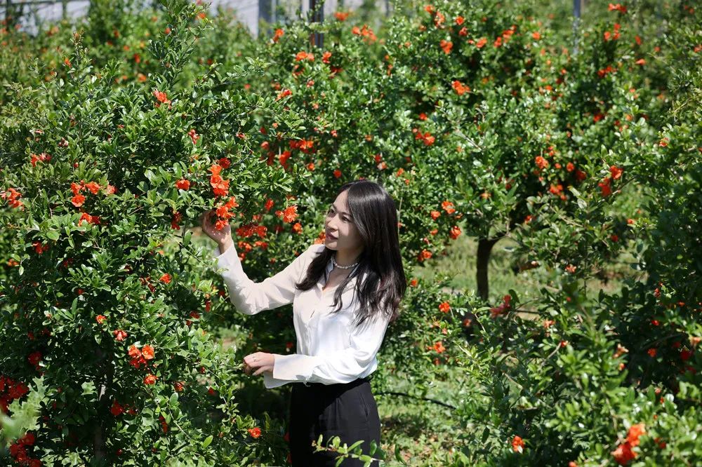 水杉乡富硒农产品（大山村富硒水）-硒宝网