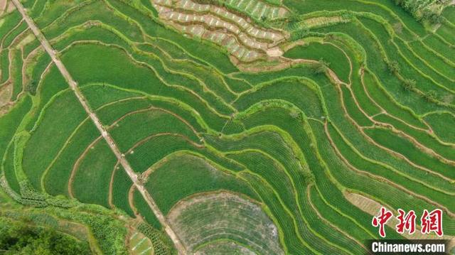 巴南区富硒农产品（重庆富硒网）-硒宝网