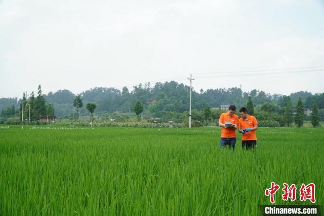 巴南区富硒农产品（重庆富硒网）-硒宝网