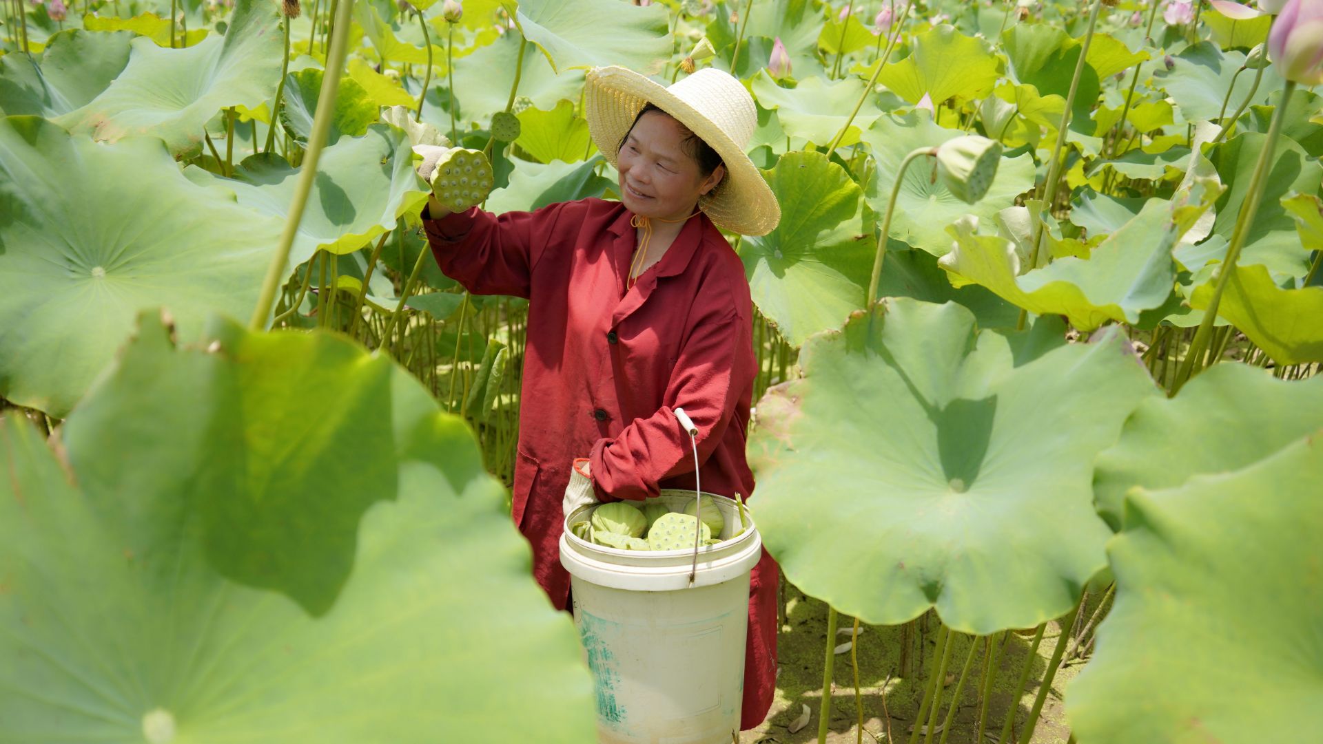 富硒农产品富农家(富硒农场产品)-硒宝网