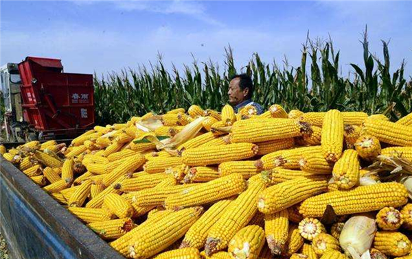 富硒农产品第营销(富硒农产品广告词)-硒宝网