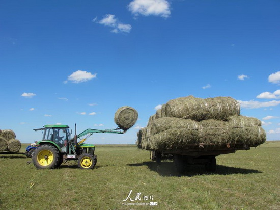 内蒙古富硒农产品（内蒙古富硒小米）-硒宝网