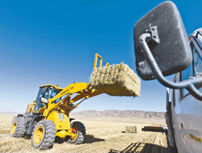 内蒙古富硒农产品（内蒙古富硒小米）-硒宝网